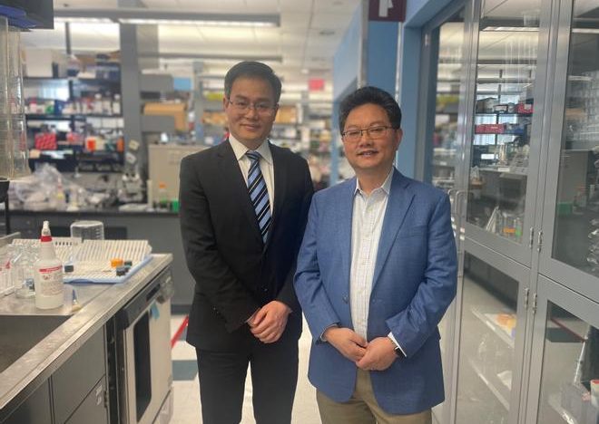 Una terapia génica restaura la audición en el 90% de los participantes de un ensayo