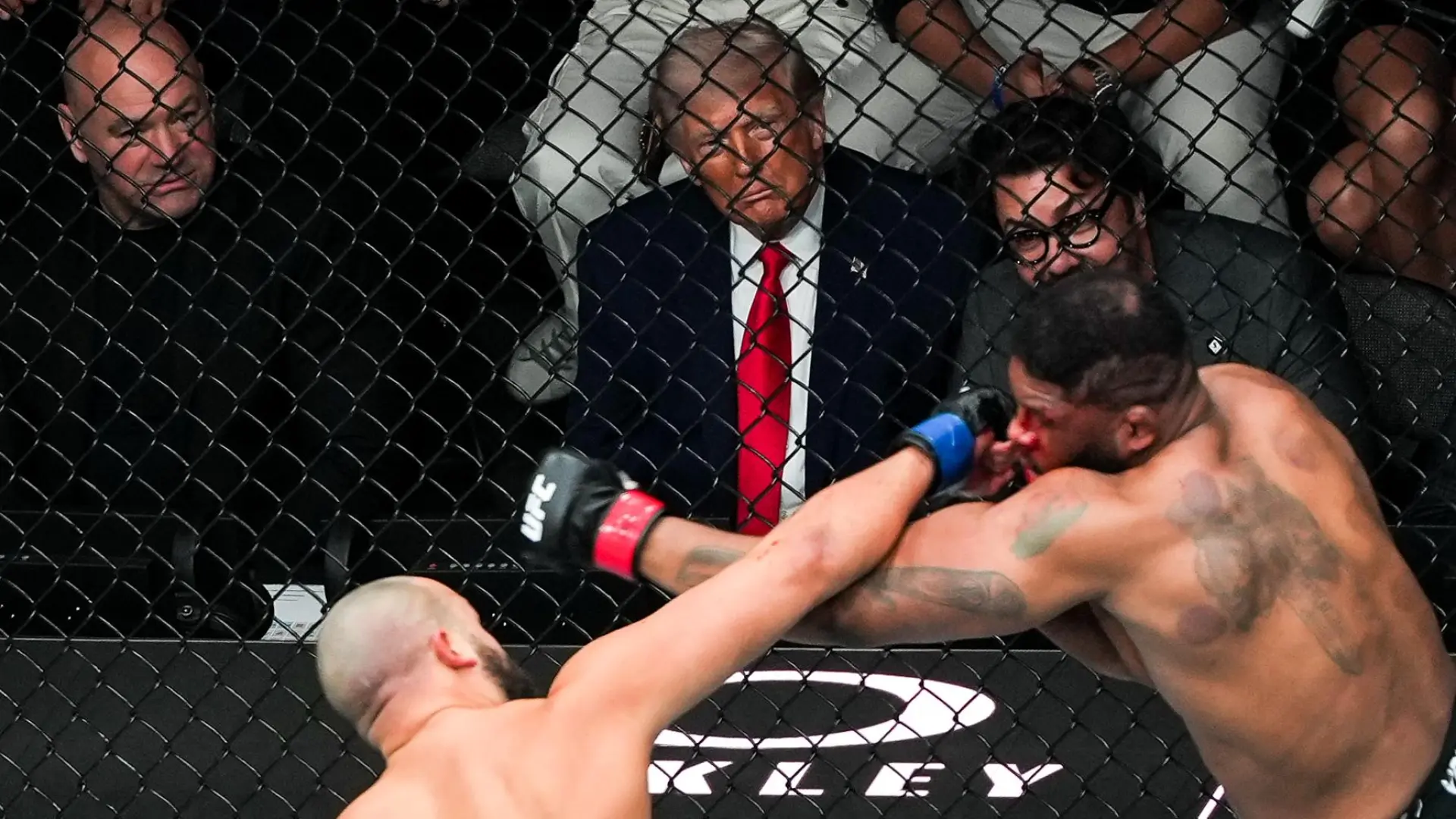 El show de Donald Trump en la UFC 327 con piropo a Paulo Costa: «Eres demasiado guapo para ser luchador»
