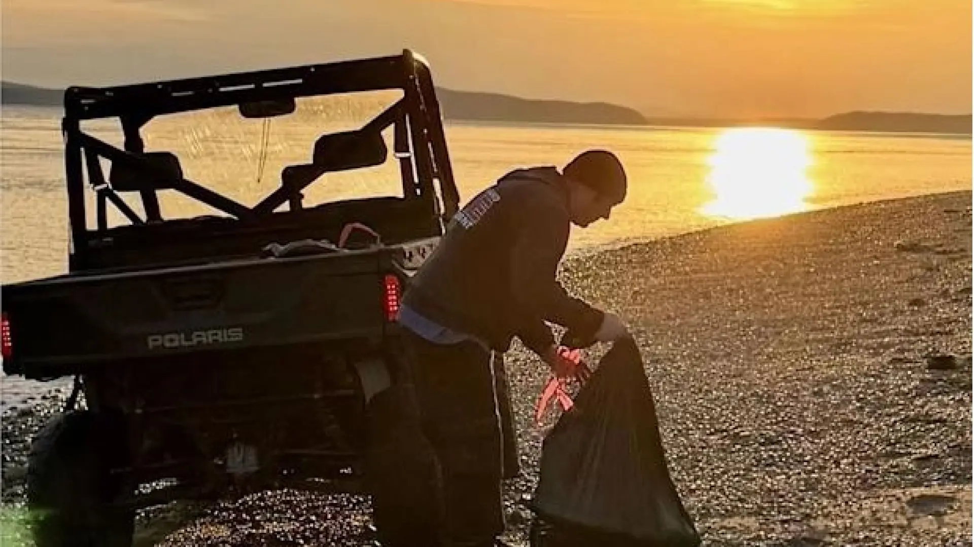 Resuelto el misterio de los 20 perros encontrados muertos en una playa en EEUU: algunos estaban despellejados o mutilados