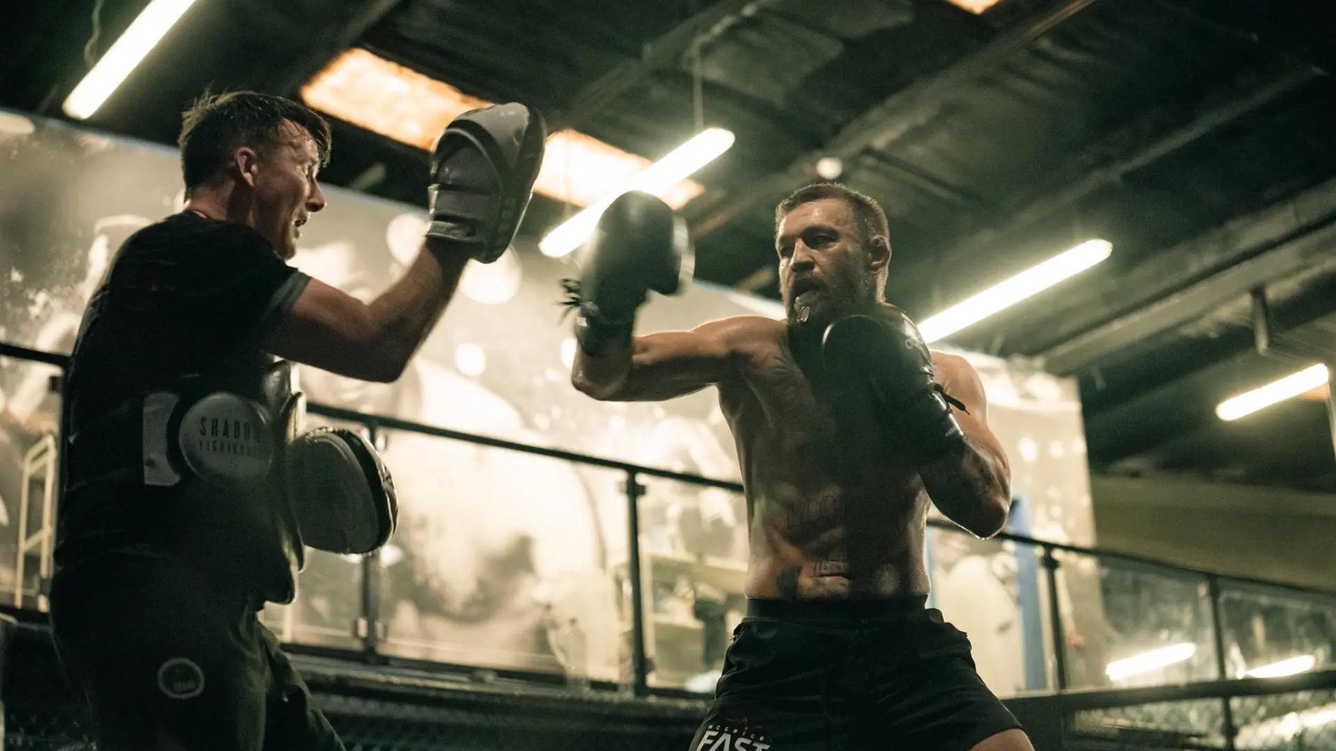 McGregor confirma su regreso: «Voy a volver para hacer lo que mejor sé hacer: dejar inconsciente a la gente por dinero»