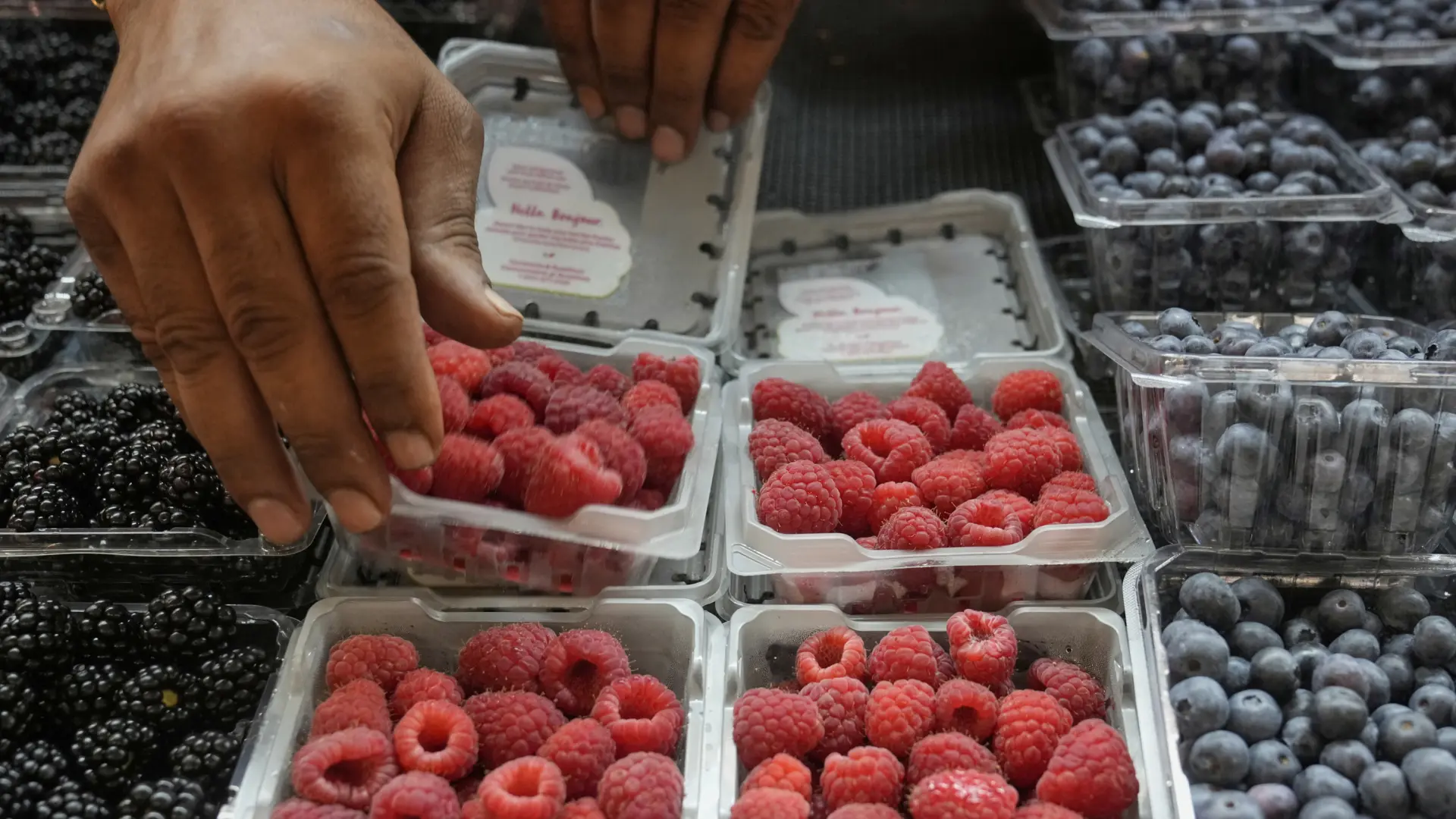 El 'misterioso' desplome de precio que ha convertido a frambuesas, moras y arándanos en protagonistas de la cesta de la compra