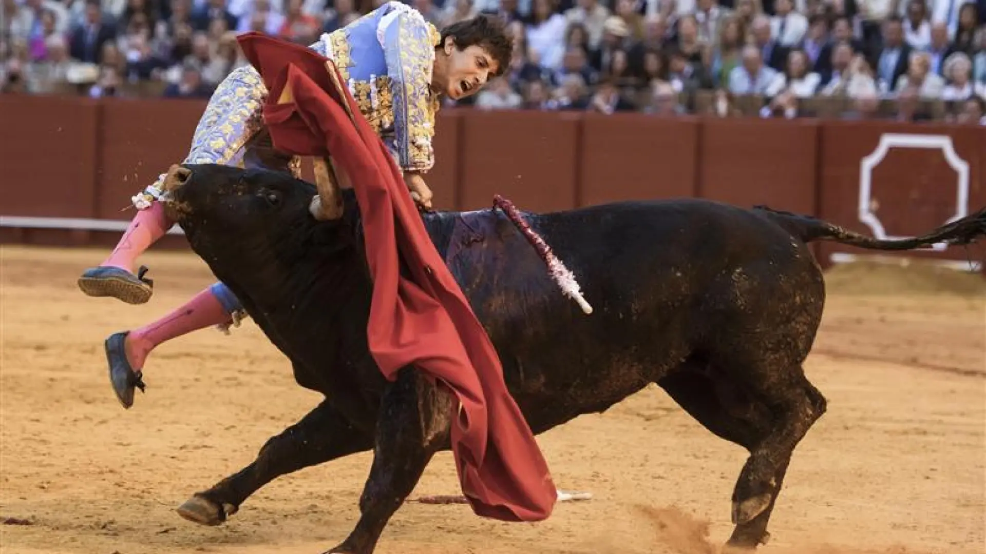 Aparatosa cogida de Andrés Roca Rey, novio de Tana Rivera, en La Maestranza, donde ha sido operado