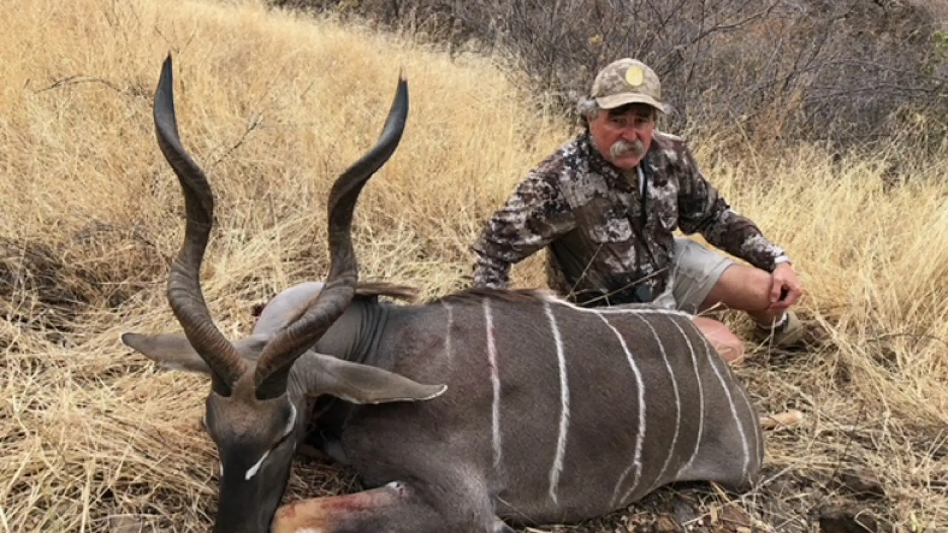 Muere atacado por cinco elefantes un millonario que era experto cazando animales salvajes en África