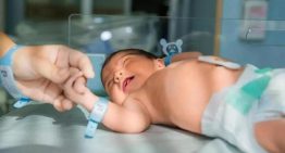 El Hospital Clínico San Carlos investiga la fabricación de un jarabe con cannabidiol para el daño cerebral en recién nacidos