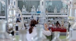 El timo, un pequeño órgano ignorado durante décadas, puede ser clave para entender el envejecimiento y prevenir el cáncer