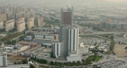 Un estudio identifica un antioxidante natural como solución potencial para las piedras en el riñón