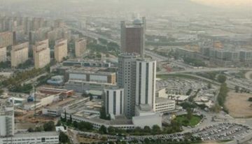 Un estudio identifica un antioxidante natural como solución potencial para las piedras en el riñón