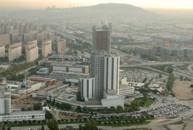 Un estudio identifica un antioxidante natural como solución potencial para las piedras en el riñón