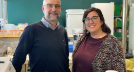 Un paciente de Oslo, el décimo caso de curación del VIH en el mundo tras un trasplante de células madre