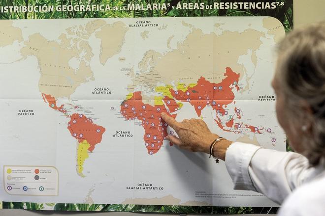 La OMS aprueba el primer tratamiento contra la malaria diseñado para recién nacidos y bebés