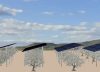 La defensa del campo frente a las fotovoltaicas ya no es sólo cosa de Vox: la izquierda plantea prohibir el uso de suelo agrícola