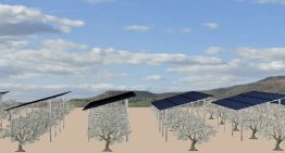 La defensa del campo frente a las fotovoltaicas ya no es sólo cosa de Vox: la izquierda plantea prohibir el uso de suelo agrícola