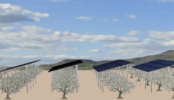 La defensa del campo frente a las fotovoltaicas ya no es sólo cosa de Vox: la izquierda plantea prohibir el uso de suelo agrícola