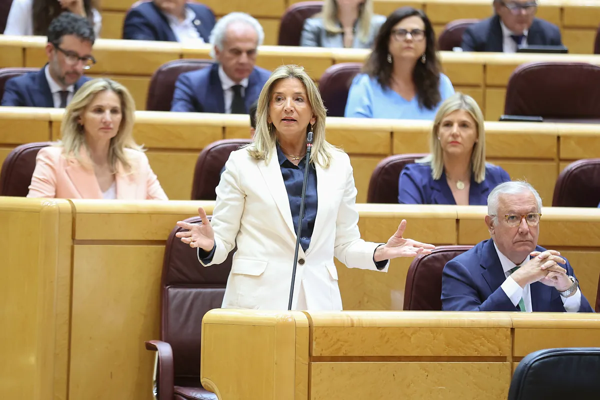 El PP lleva a las Cortes la batalla política del buque