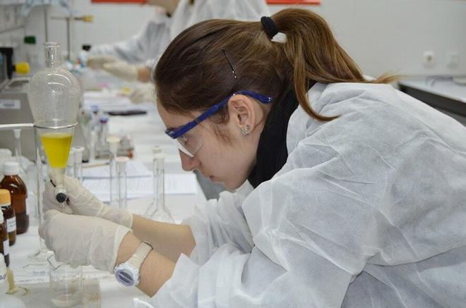 Google creará una IA para acelerar los descubrimientos científicos: «Es para ayudar a los investigadores, no para reemplazarlos»