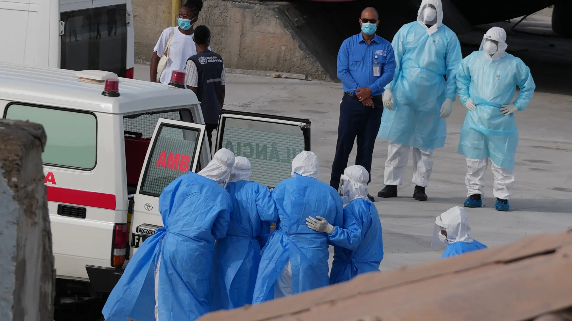 Qué se sabe sobre la crisis del hantavirus: casos confirmados, quién es el paciente cero, cómo se pudo contagiar…