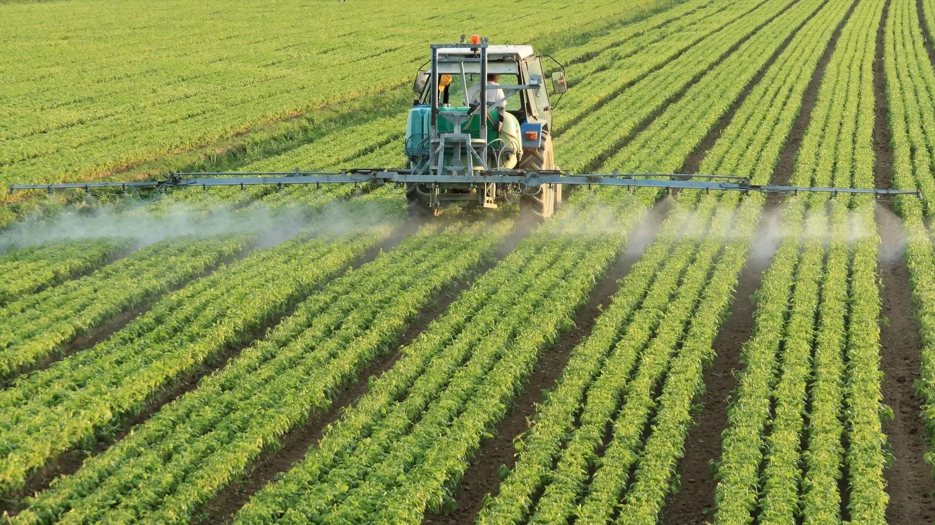 La crisis de los fertilizantes ya debilita al campo: menos nutrientes, menor producción y precios más altos para el consumidor