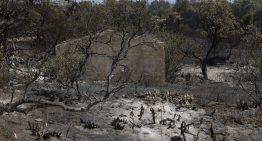 Más de 5.000 hectáreas calcinadas en el vigésimo incendio en Huelva en un mes, una oleada de fuegos que enciende todas las alarmas