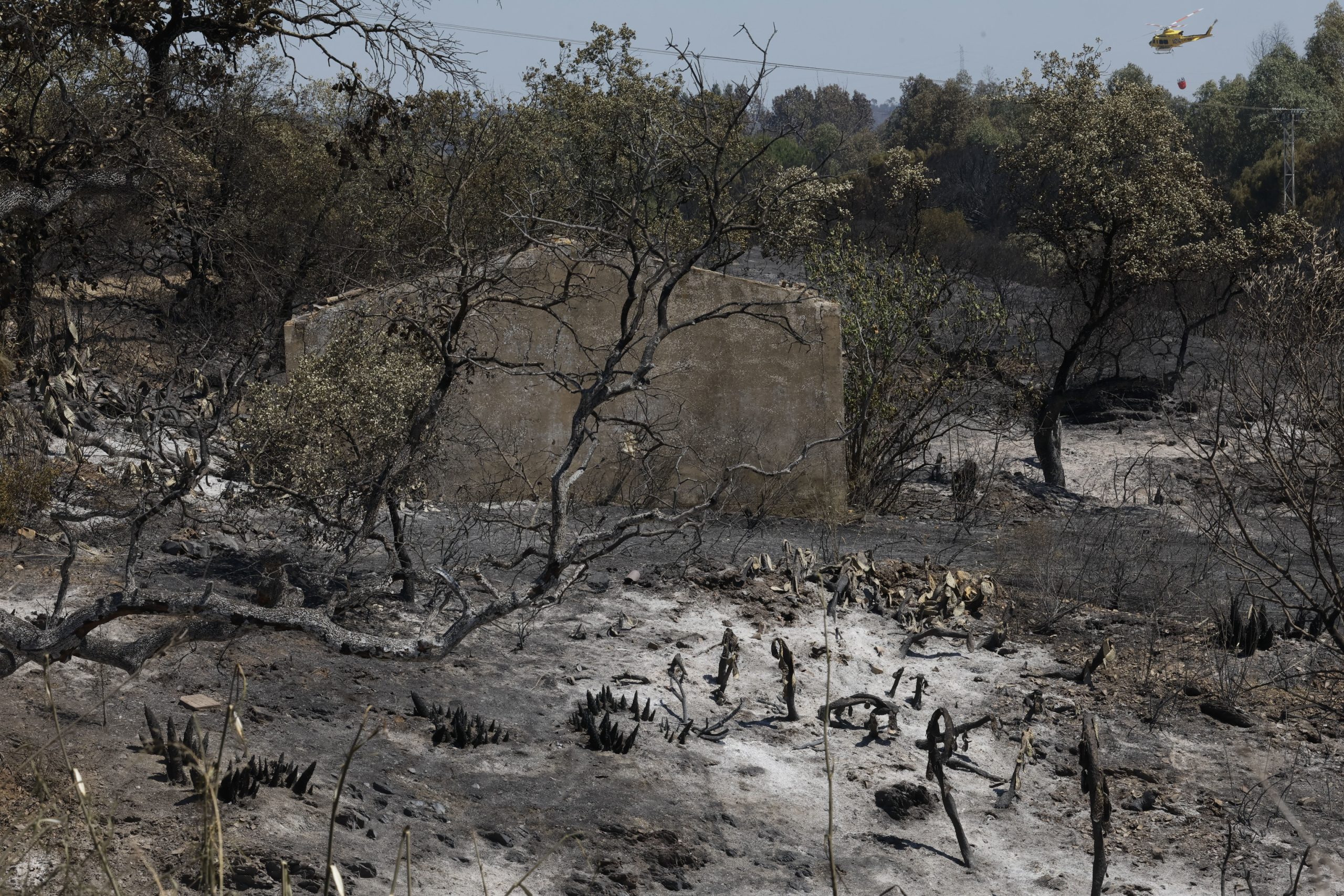 Un helicóptero de extinción sobrevuela un paraje arrasado por las llamas.