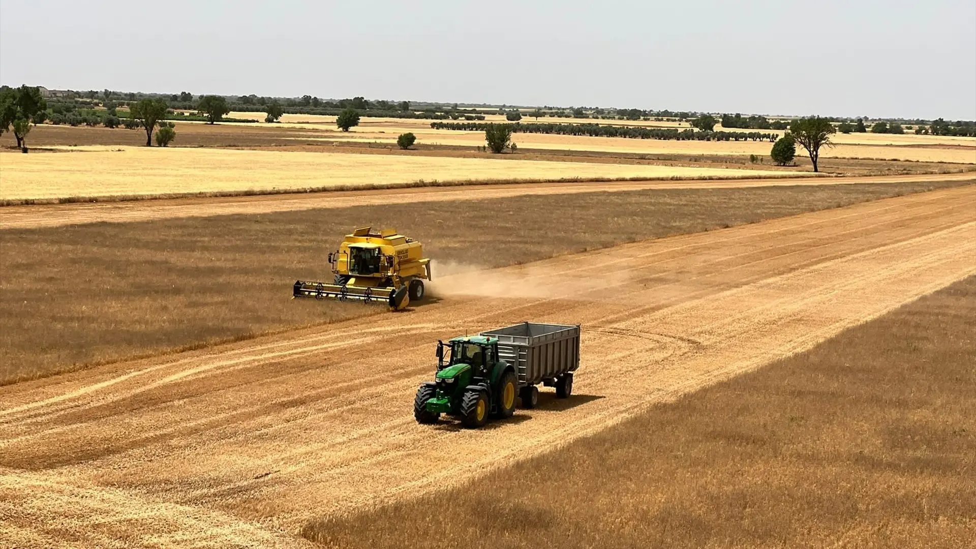 La cercanía de un pacto definitivo entre Estados Unidos e Irán rebaja el precio de los cereales