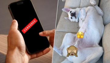 Te llega un mensaje, el iPhone lo difumina por ser «contenido explícito» y te esperas lo peor. Al final solo era un perro