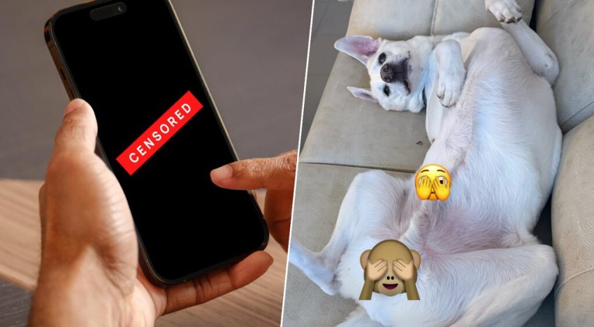 Te llega un mensaje, el iPhone lo difumina por ser «contenido explícito» y te esperas lo peor. Al final solo era un perro