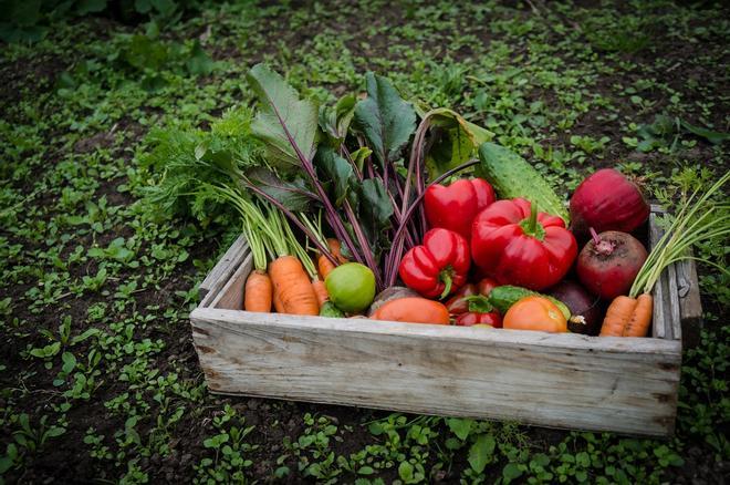 La dieta mediterránea vegana puede mejorar el colesterol y el dolor en mujeres con fibromialgia