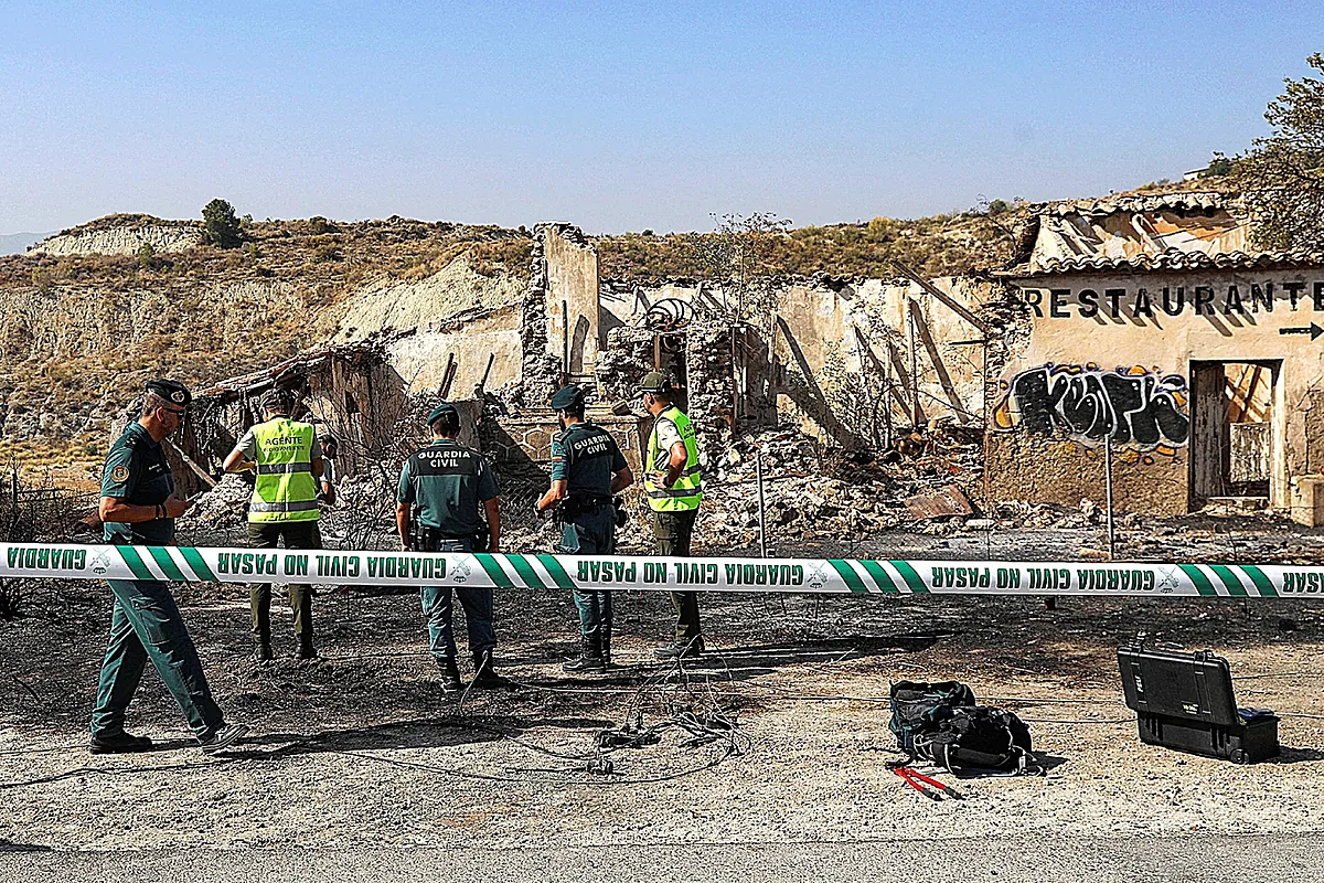 ¿Cómo pudo originar el fuego de Los Gallardos un cable «sin electricidad desde 2009» según la compañía Endesa?