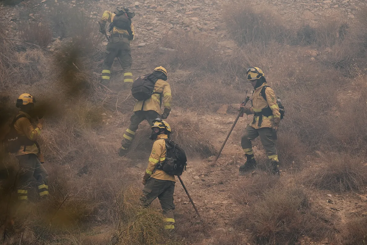 Precariedad en primera línea de fuego: una ley de mínimos para los bomberos forestales que las comunidades se niegan a aplicar