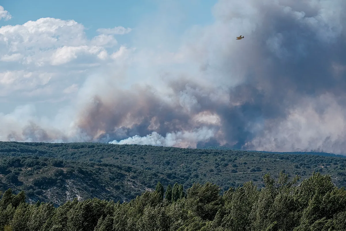 El incendio del Parque Natural de  la Sierra Norte de Guadalajara continúa en nivel 2 y ha quemado ya unas 12.000 hectáreas
