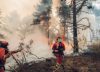 120.000 hectáreas arrasadas por los incendios: nuevos evacuados en Guadalajara, mientras efectivos combaten el fuego en Huelva y Teruel