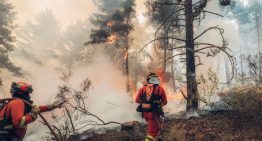 120.000 hectáreas arrasadas por los incendios: nuevos evacuados en Guadalajara, mientras efectivos combaten el fuego en Huelva y Teruel