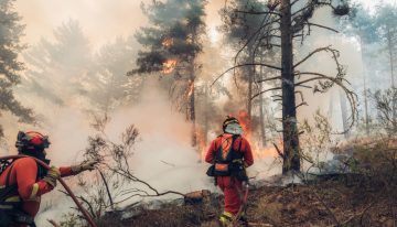 120.000 hectáreas arrasadas por los incendios: nuevos evacuados en Guadalajara, mientras efectivos combaten el fuego en Huelva y Teruel