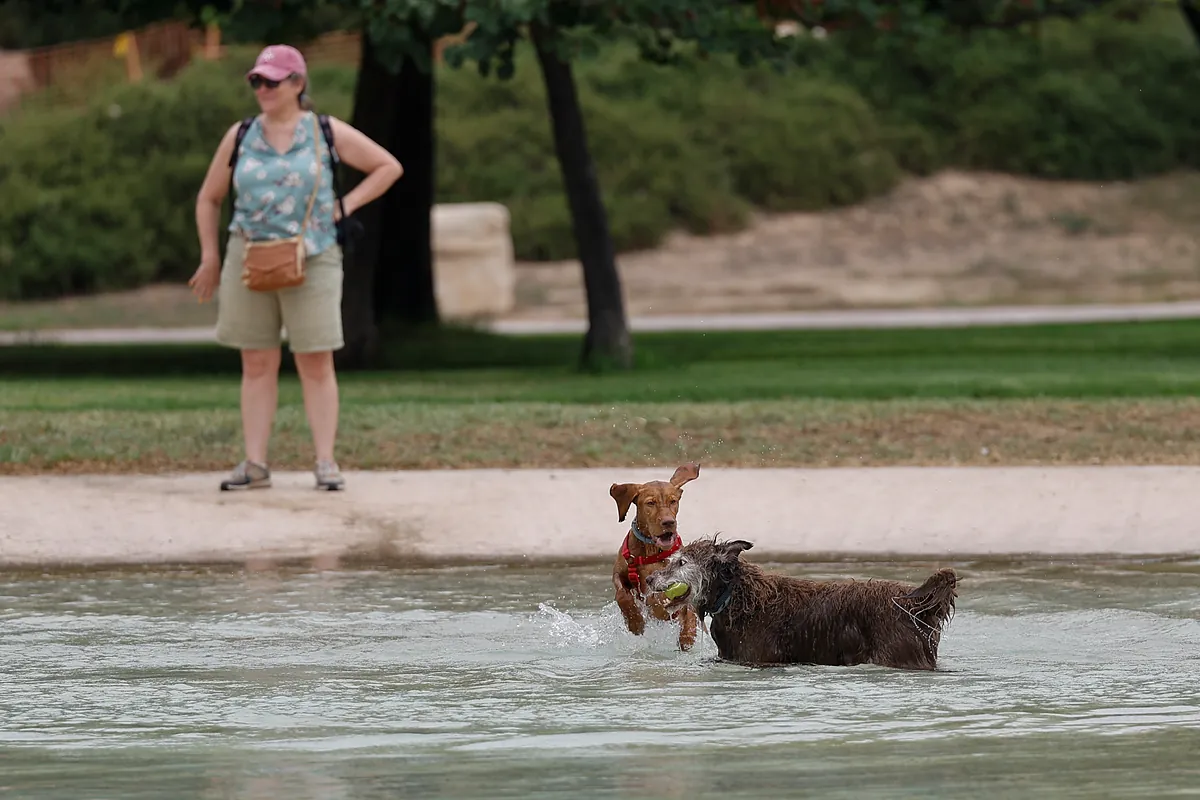 Alerta por calor extremo de hasta 44ºC y tormentas con granizo este jueves, último día de la ola de calor