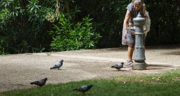 El calor que no cesa: máximas de 44ºC y tormentas con granizo y rachas de viento en el sureste