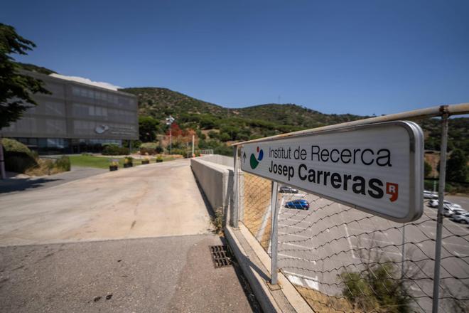 Desvío de fondos, comercialización de muestras humanas y acoso laboral: claves de la denuncia contra el Institut Josep Carreras