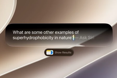 Ejemplo De Siri Ai En Mac