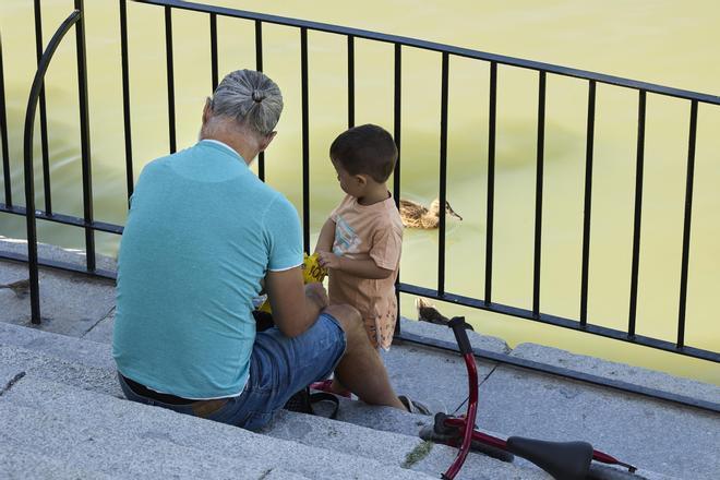 Un estudio desvela que los hombres mayores de 45 años presentan un 31% más de mutaciones en el esperma