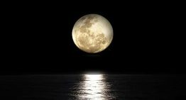 La luna este mes, paso a paso: fechas y horas de todas sus fases en julio 2026