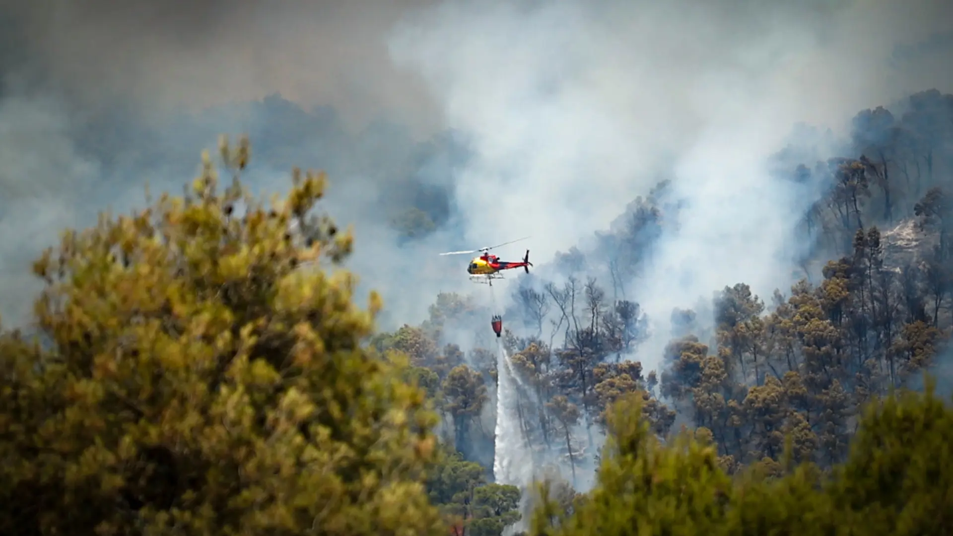 La ola de calor incendia el sur de Europa