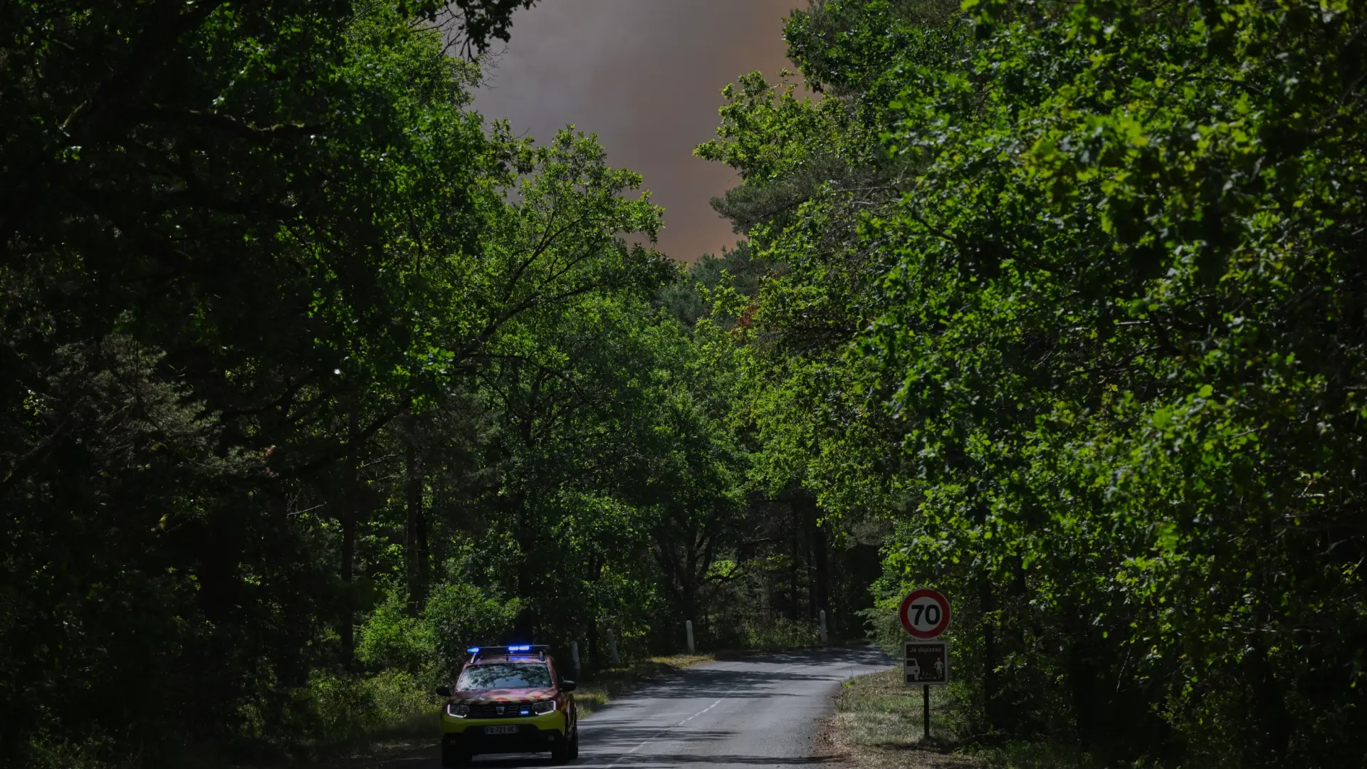 Un incendio arrasa 800 hectáreas del bosque de Fontainebleau, una joya cerca de París
