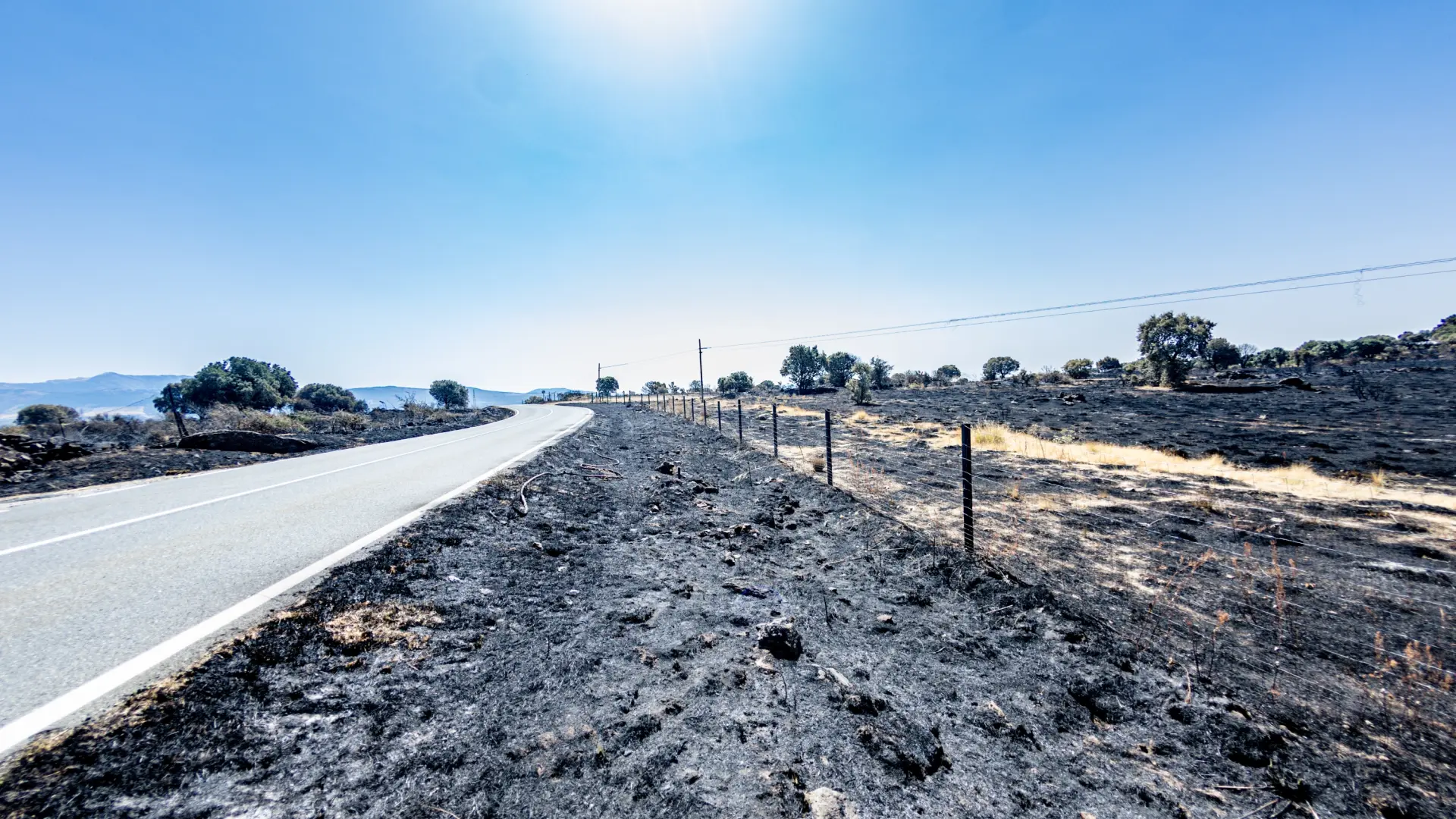 Desertificación e incendios, el precio de no invertir
