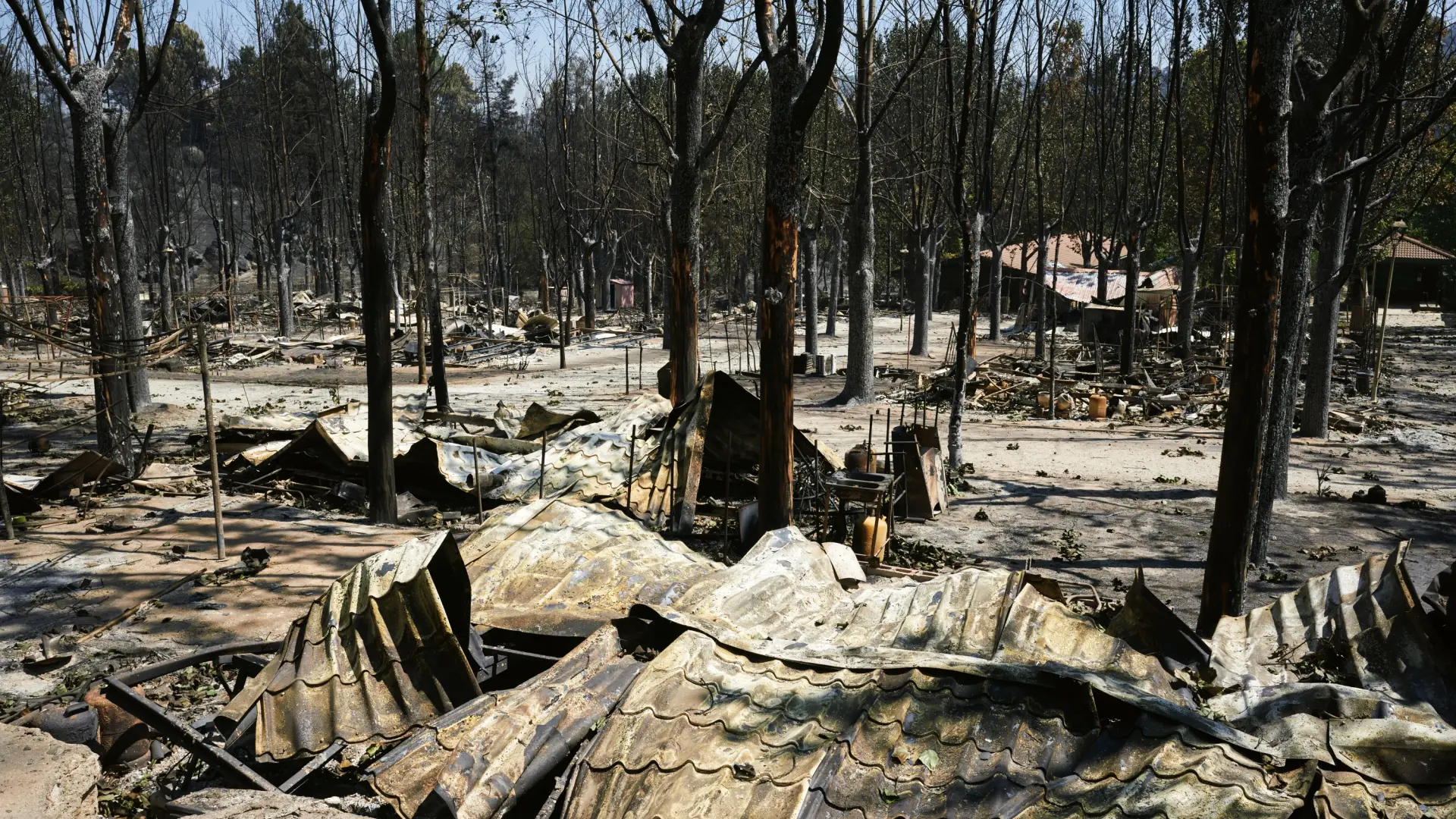¿Cómo actúa el seguro en caso de incendio? El papel de las aseguradoras ante las catástrofes