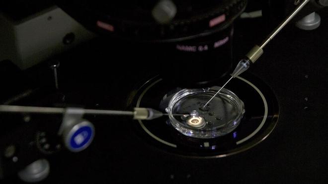 Escándalo científico: China oculta la muerte de una niña que recibió una terapia génica experimental de 860.000 dólares