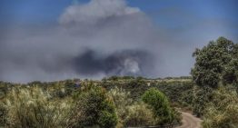 Entre un 10% y un 30% de las personas que sufren una intoxicación por monóxido de carbono pueden desarrollar un síndrome neurológico tardío