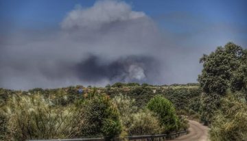 Entre un 10% y un 30% de las personas que sufren una intoxicación por monóxido de carbono pueden desarrollar un síndrome neurológico tardío