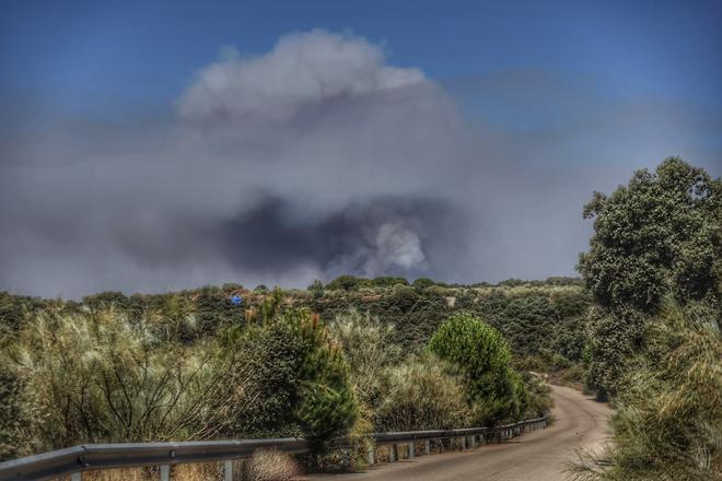 Entre un 10% y un 30% de las personas que sufren una intoxicación por monóxido de carbono pueden desarrollar un síndrome neurológico tardío