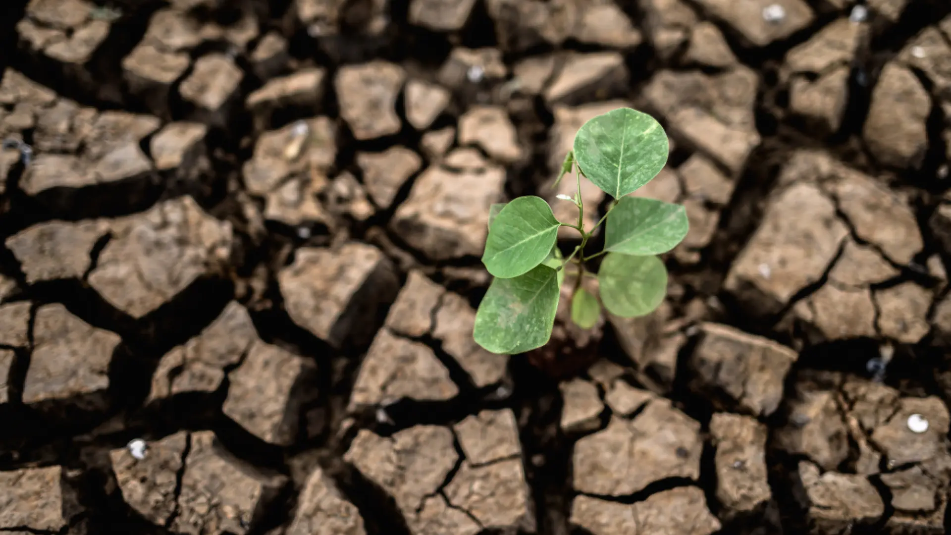 Los economistas prevén subidas en los precios de los alimentos de hasta el 9% en 2027 por la guerra y el clima extremo