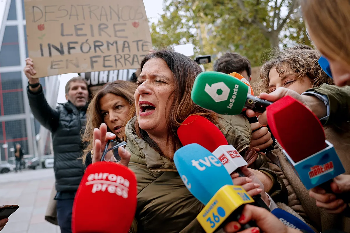 El juez Pedraz ya cuenta con toda la investigación del juzgado de Madrid sobre Leire Díez que esperaba para llamara a declarar a la 'fontantera'
