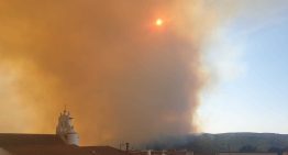 El incendio de Niebla (Huelva) ha afectado ya a 20.000 hectáreas y sigue fuera de control: «El monte artificial ha convertido esta comarca en un polvorín»